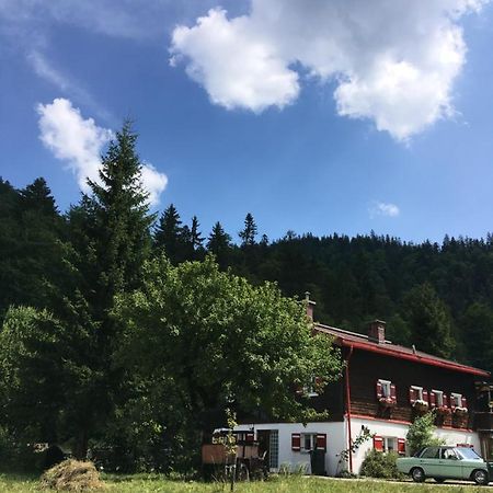 Gatterl Zum See Reit im Winkl Eksteriør billede