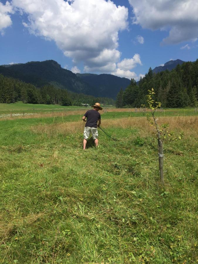 Gatterl Zum See Reit im Winkl Eksteriør billede